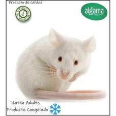 Ratón de laboratorio Adulto (Producto congelado)